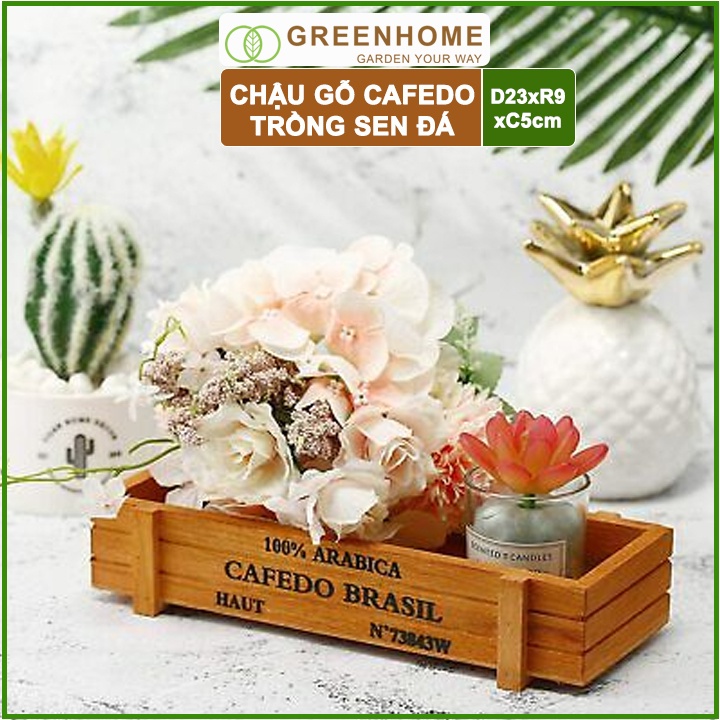 bceb74232249d73f66f38b1cb90fe245