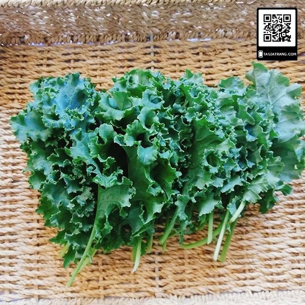 Hạt giống rau cải xoăn kale - Gói 1gr