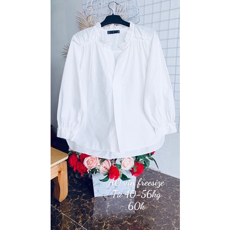 Áo vin trắng dài tay