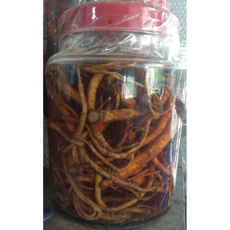 1kg Đinh lăng sắc lát khô