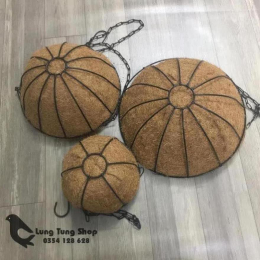 Chậu treo sơ dừa khung sắt - nhiều kích thước , chậu trồng dâu tây