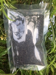 Hạt é xuất khẩu loại 1 (100gr)