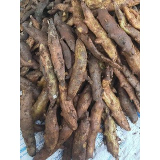 Củ tắc kè đá(1kg)