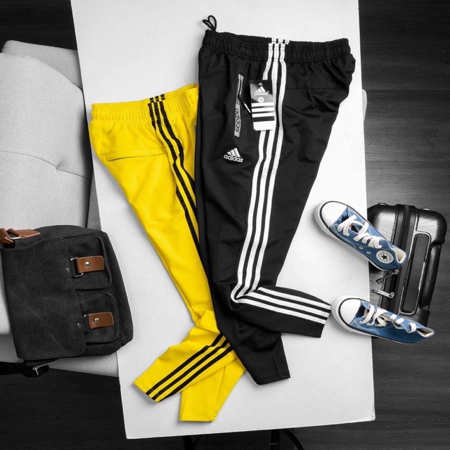 Quần jogger 3 sọc
