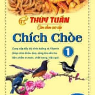 Cám chim chích choè Thúy Tuấn