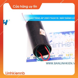 Module Tăng Áp 1000KV (Máy Đánh Lửa)