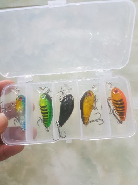 Hộp mồi lure 5 con cá giả