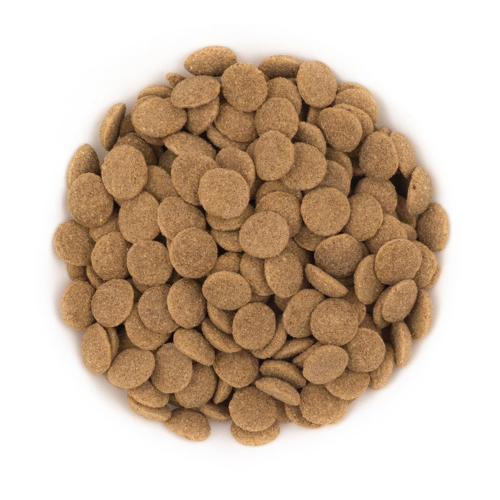 Thức ăn hạt Petcool cho chó size lớn (Túi Zip 1kg) - Hạt cao cấp nhập khẩu châu Âu