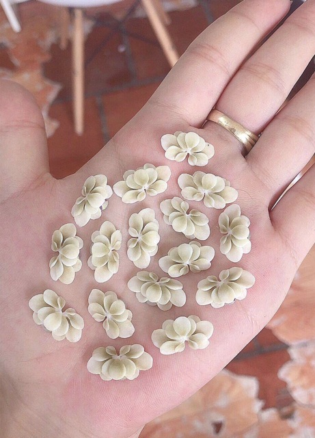 Cúc ombre ( 1b) - Phụ kiện Nail