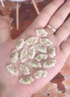 Cúc ombre ( 1b) - Phụ kiện Nail