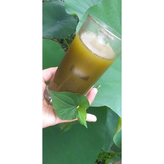 100gr Bột diếp cá sấy lạnh nguyên chất