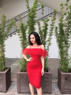 Combo 10 đầm giá 590k