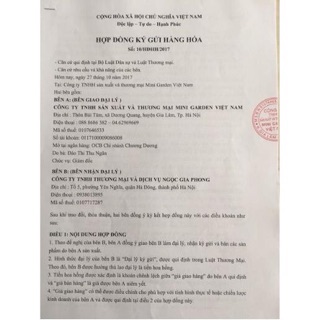 [CAM KẾT CHÍNH HÃNG] Son rose mới phiên bản 2019