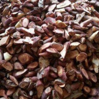 Cây Mú Từn 1kg