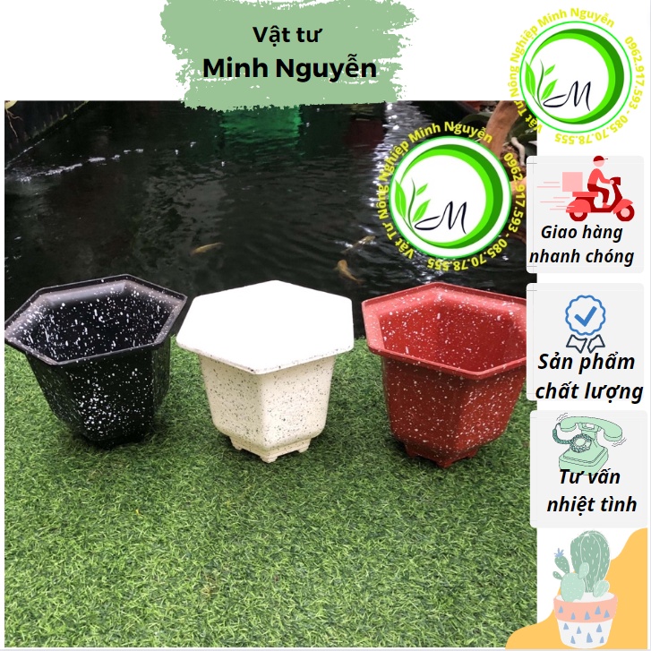 Giỏ trồng hoa Lục Giác loại đẹp 20cm x18cm chậu lục giác trồng cây cảnh, cây bonsai để bàn, hoa các loại