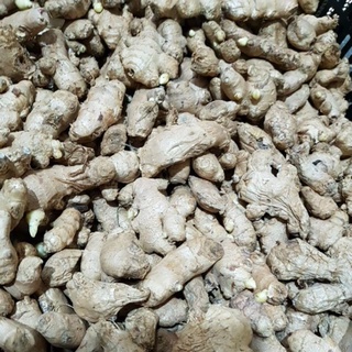 200 gr gừng . chỉ giao khu vực gò vấp