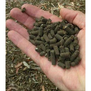 Túi 3 kg Phân gà hữu cơ nhập khẩu Hà Lan trồng rau, hoa hồng,...