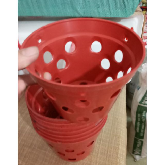 Chậu trồng lan 14.5 cm