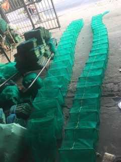 Lồng bát quái