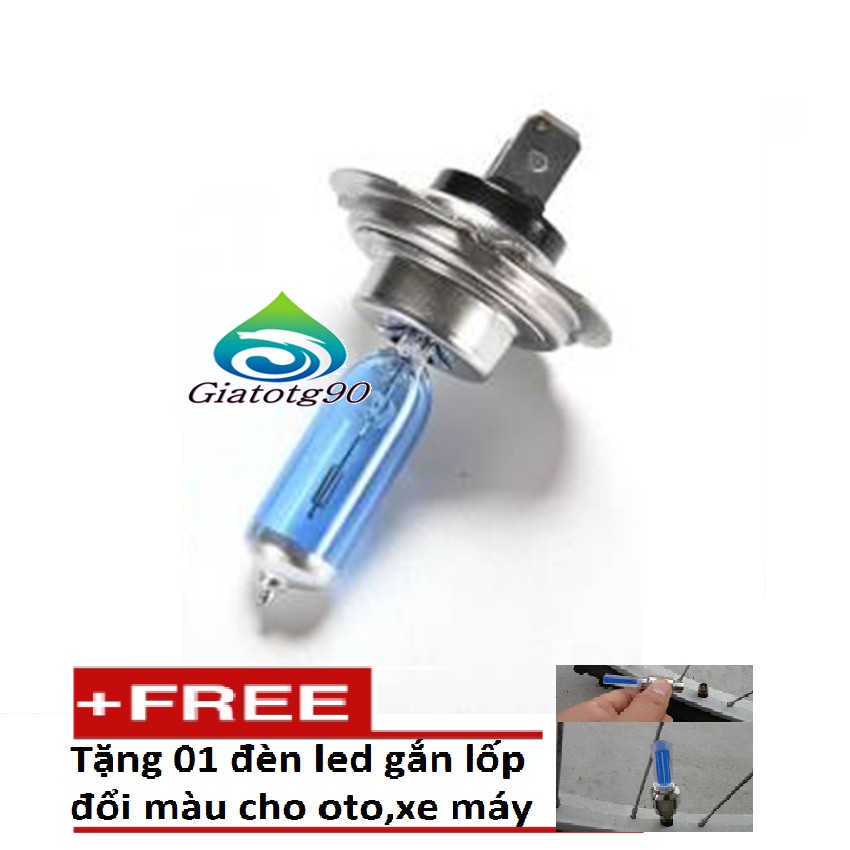 Đèn pha oto, xe máy siêu sáng H7 12V 100W chất lượng cao 206612 tặng đèn led gắn van xe K 131