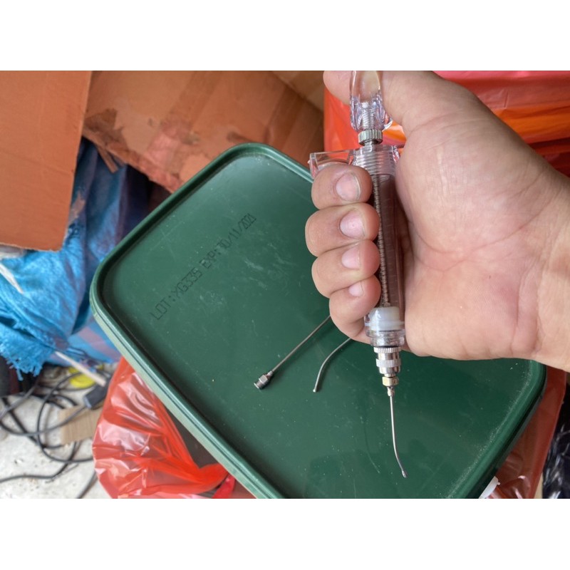 Ống đút cho vẹt con