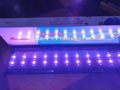 Đèn led 5 hàng Quanlong đổi màu siêu sáng nhiều kích thước