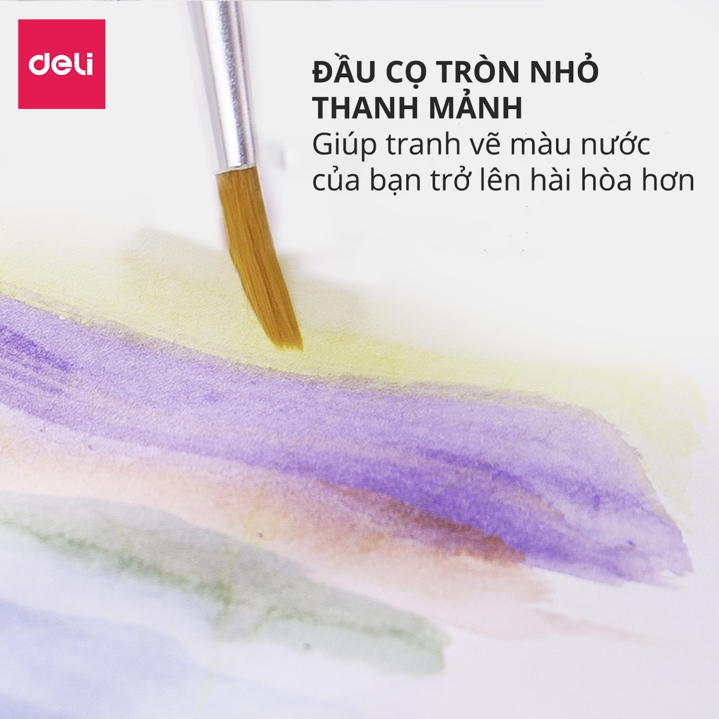 Bộ cọ vẽ chuyên nghiệp Deli - dùng cho màu nước/bột/sơn acrylic -Set 4/6 cây