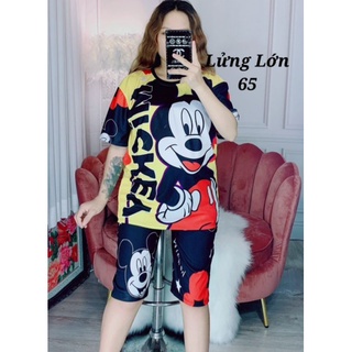 Set lửng thun lạnh 3D 4 chiều  + quần Có Túi