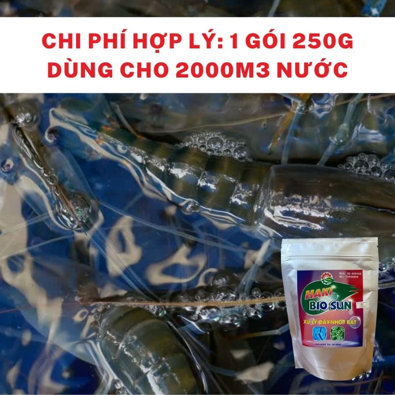 [MUA 1 TẶNG 1] Men vi sinh đậm đặc cho ao nuôi, cá cảnh Haki Bio Sun pha tạt trực tiếp - Gói 250 Gram