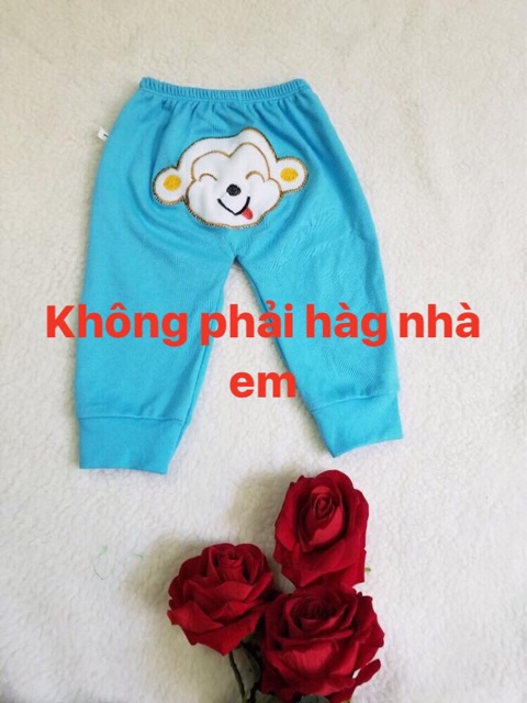 Quần chục mông thú