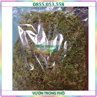 Combo 2 túi rêu rừng trồng lan