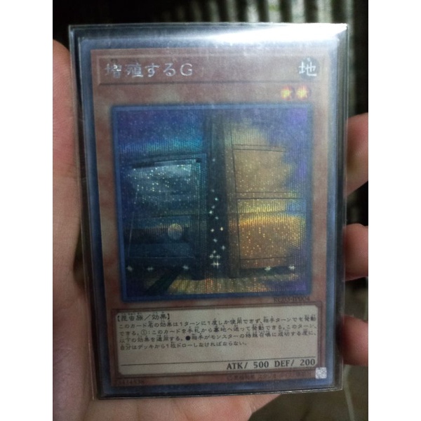 Thẻ Bài Yugioh: Maxx "C" | OCG