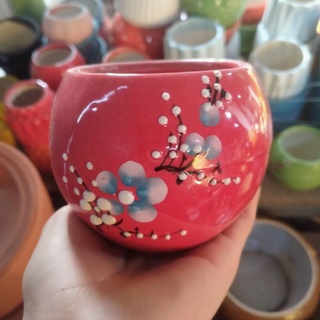 Chậu trồng cây bonsai mini rất đẹp