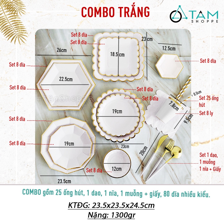 Set đồ giấy trang trí tiệc tông màu Trắng SETDG-06 TAN
