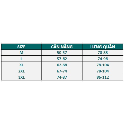 Set bộ áo hoa kiểu , quần xuông ống rộng cao cấp , sang trọng , trẻ trung - Dành cho mẹ , bà và vợ