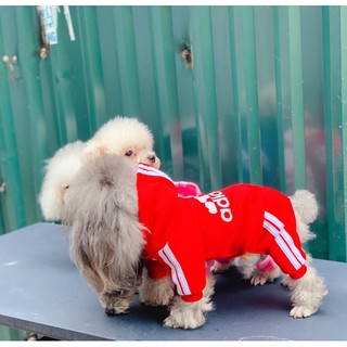Quần Áo Chó Mèo [ bộ nỉ thể thao adidog ] 021