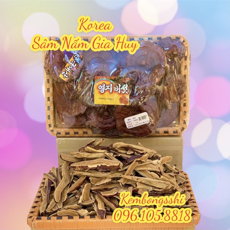 [HÀNG MỚI] Nấm linh chi Đỏ dạng khay HÀN QUỐC[DUY NHẤT HÔM NAY] [SALE LỚN]