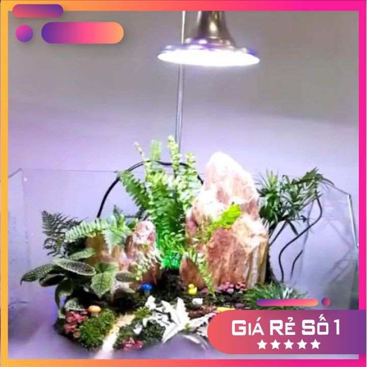 Đèn Led Đĩa Xima 20w Ánh Sáng RGB cho Bể Thủy Sinh Và Bán Cạn
