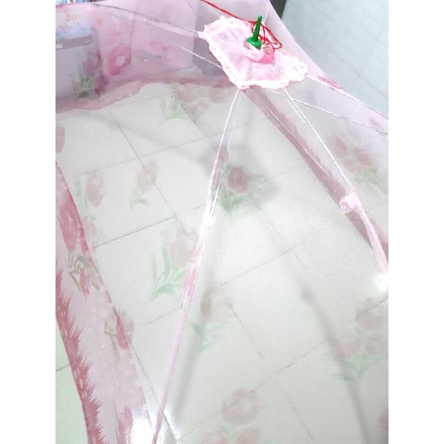 Mùng chụp người lớn giá rẻ 1m6 x 2m ( có chênh lệch )