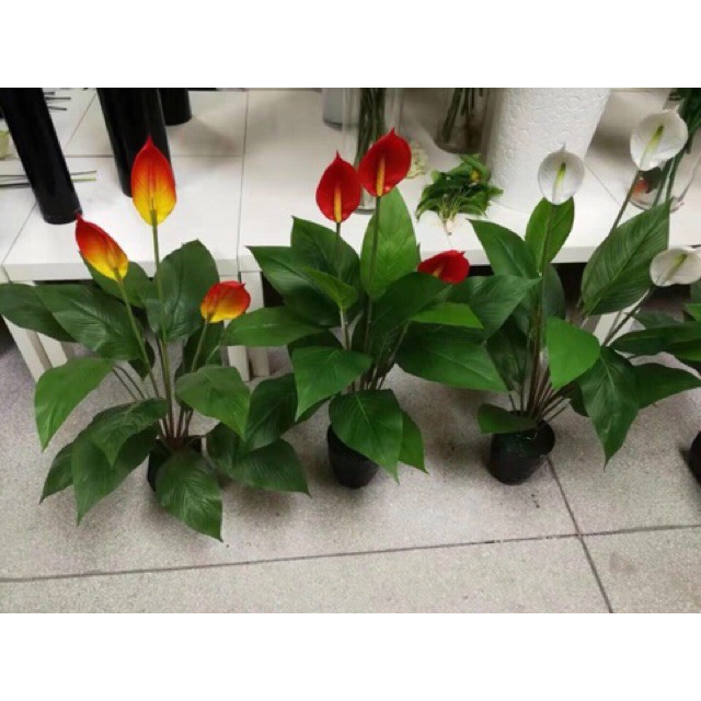 Cây Lan Ý giả 95cm trang trí / nhiều màu/