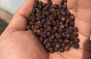Tiêu Daklak 500g