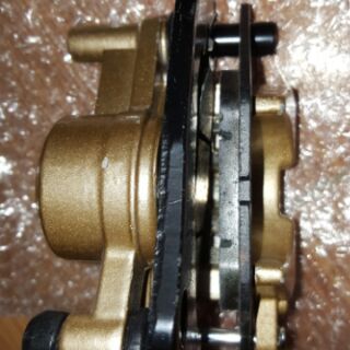 Heo dầu trước si Rius