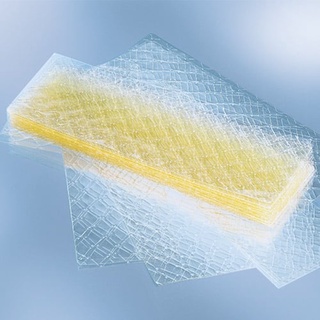 Gelatin (lá) hữu cơ