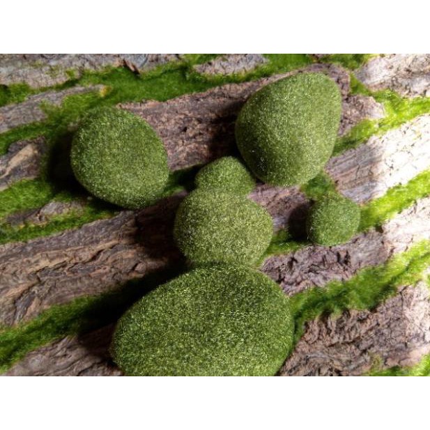 Rêu giả trang trí