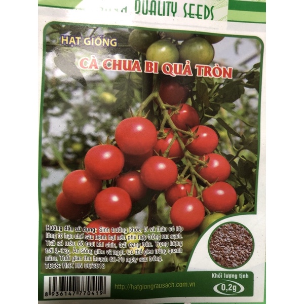 Hạt giống Cà chua bi 🍅