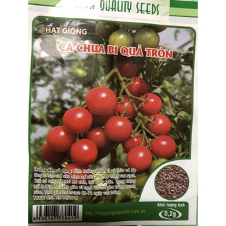 Hạt giống Cà chua bi 🍅