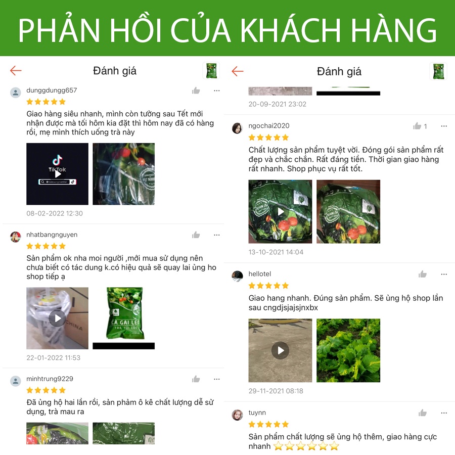 Trà Cà Gai Leo Túi Lọc Sadu Bịch 250g Giải Độc, Mát Gan, Tăng Cường Chức Năng Gan