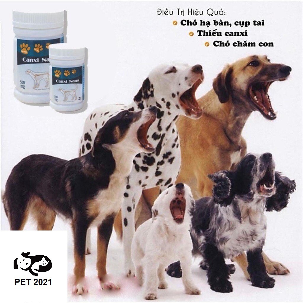 Canxi Nano Dành Cho Chó Mèo  - PET 2021