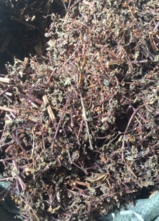 hương nhu tím (500gram)