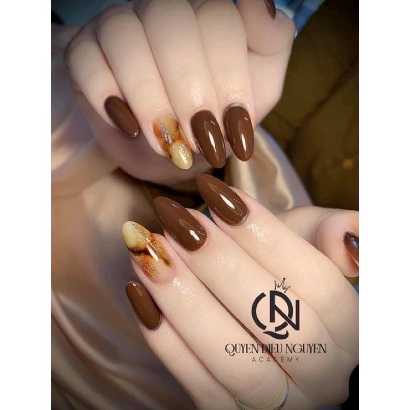 Sét sơn gel tone nâu 9 màu kèm bảng